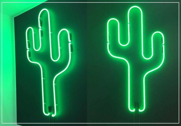 neon-kaktus